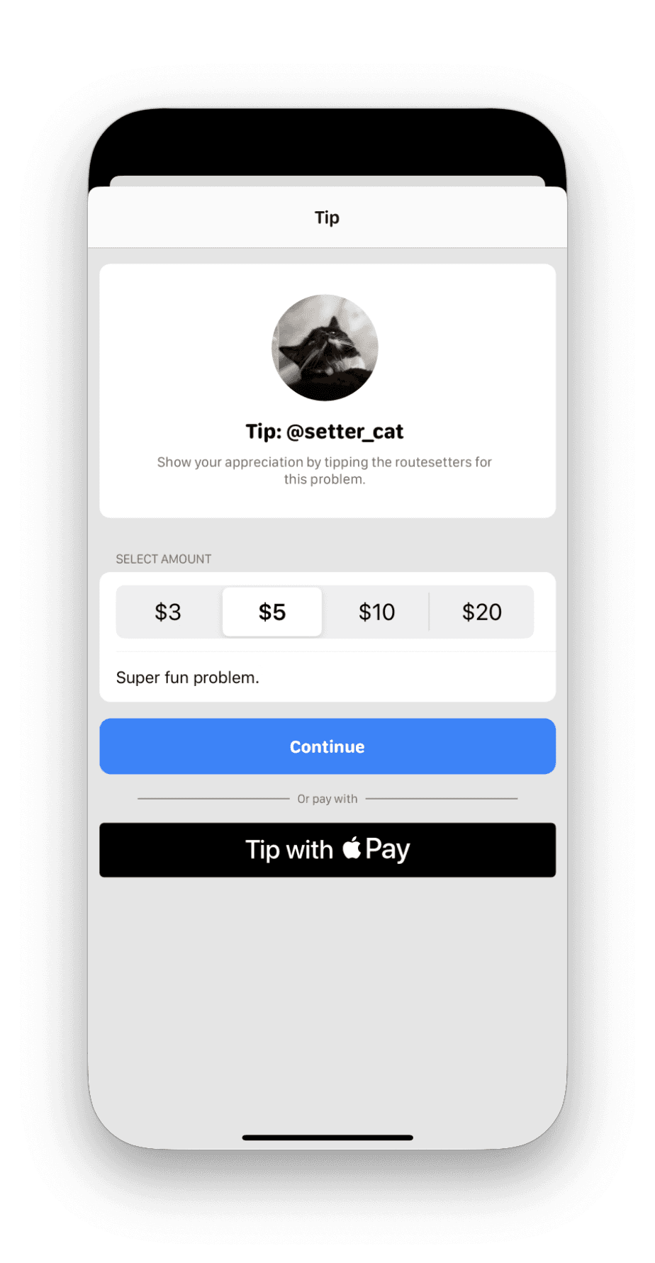 Problem payment screenshot